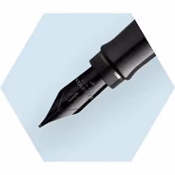 Waterman Expert stylo-plume Or 1 pièce(s)