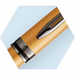 Waterman Expert stylo-plume Or 1 pièce(s)