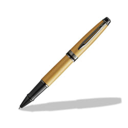 Waterman Expert Moyen 1 pièce(s)