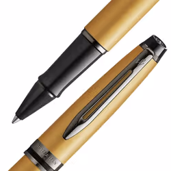 Waterman Expert Moyen 1 pièce(s)