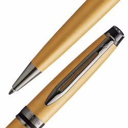 Waterman Expert Moyen 1 pièce(s)