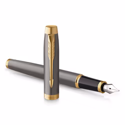 Parker IM stylo-plume Gris 1 pièce(s)
