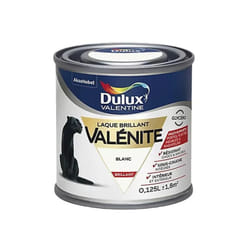 Akzonobel - Testeur Laque brillant Dulux Valentine Valénite Blanc 0,125 l