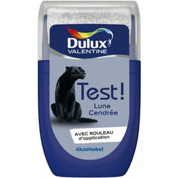Dulux Valentine - Testeur couleur Lune Cendrée 30 mL - Peinture