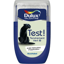 Dulux Valentine - Testeur couleur Tendrement Vert 30 mL - Peinture