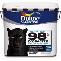 LIVRAISON OFFERTE DES 39€ D’ACHAT ET RETOUR GRATUIT ! Dulux Valentine Peinture Professionnelle Blanche 98% Mat : Peinture bla ...