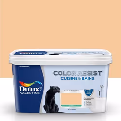 Peinture Color Resist Cuisine & Bains Nude 2 L