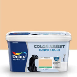 Peinture Color Resist Cuisine & Bains Nude 2 L