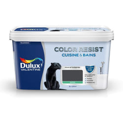 Peinture Color Resist Cuisine & Bains Satin Smoky 2 l Dulux Valentine