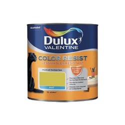 Dulux Valentine Peinture acrylique Color Resist Topaze vert Mat 1 L