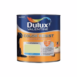 DULUX VALENTINE COLOR RESIST - Peinture intérieure murs et boiseries - 1L - vert fluorine