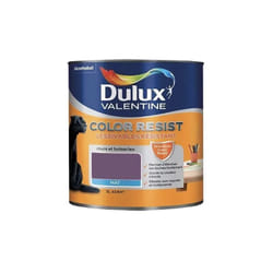 Dulux Valentine - Peinture acrylique Color Resist Amethyste Mat 1 l