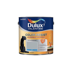 Dulux Valentine - Peinture acrylique Color Resist Gris acier Mat 2,5 l