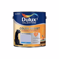 Dulux Valentine Peinture acrylique Color Resist Violet minéral Mat 25 L