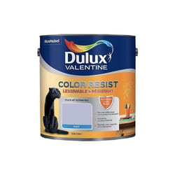 Dulux Valentine Peinture acrylique Color Resist Violet minéral Mat 25 L
