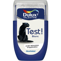Akzonobel - Testeur couleur Blanc 30 mL - Peinture Dulux Valentine