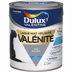 LIVRAISON OFFERTE DES 39€ D’ACHAT ET RETOUR GRATUIT ! Dulux Valentine laque valénite mat : Une laque hautement résistante au  ...