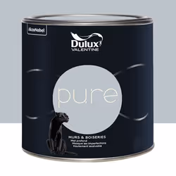 Peinture murs & boiseries Dulux Valentine Pure Zinc 05 L