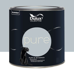 Peinture murs & boiseries Dulux Valentine Pure Zinc 05 L