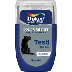 Dulux Valentine - Testeur couleur Bleu Gris 30 mL - Peinture Color Resist
