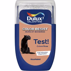 LIVRAISON OFFERTE DES 39€ D’ACHAT ET RETOUR GRATUIT ! Dulux Valentine testeur : Le testeur de Dulux Valentine vous permet de  ...