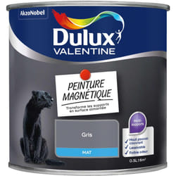Akzonobel - Peinture De Rénovation Magnétique Mat Gris 0,5 l - Dulux Valentine