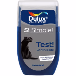 Dulux Valentine testeur : Le testeur de Dulux Valentine vous permet de tester votre couleur ou vos associations de couleur di ...