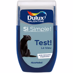 Dulux Valentine testeur : Le testeur de Dulux Valentine vous permet de tester votre couleur ou vos associations de couleur di ...