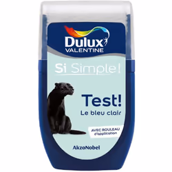 Dulux Valentine testeur : Le testeur de Dulux Valentine vous permet de tester votre couleur ou vos associations de couleur di ...