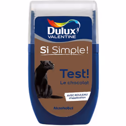 Dulux Valentine testeur : Le testeur de Dulux Valentine vous permet de tester votre couleur ou vos associations de couleur di ...