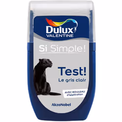 Dulux Valentine testeur : Le testeur de Dulux Valentine vous permet de tester votre couleur ou vos associations de couleur di ...