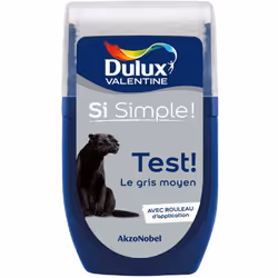 Dulux Valentine testeur : Le testeur de Dulux Valentine vous permet de tester votre couleur ou vos associations de couleur di ...