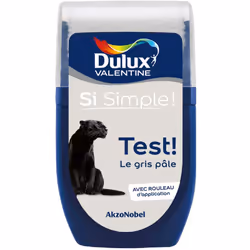 Dulux Valentine testeur : Le testeur de Dulux Valentine vous permet de tester votre couleur ou vos associations de couleur di ...