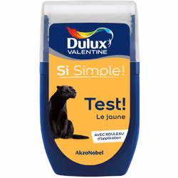 Dulux Valentine testeur : Le testeur de Dulux Valentine vous permet de tester votre couleur ou vos associations de couleur di ...