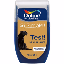 Dulux Valentine testeur : Le testeur de Dulux Valentine vous permet de tester votre couleur ou vos associations de couleur di ...