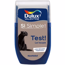Dulux Valentine testeur : Le testeur de Dulux Valentine vous permet de tester votre couleur ou vos associations de couleur di ...