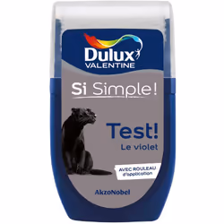 Dulux Valentine testeur : Le testeur de Dulux Valentine vous permet de tester votre couleur ou vos associations de couleur di ...