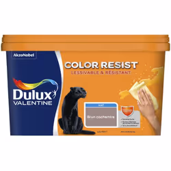 LIVRAISON OFFERTE DES 39€ D’ACHAT ET RETOUR GRATUIT ! Dulux Valentine Murs & Boiseries : Color Resist Murs & Boiseries Mat, r ...
