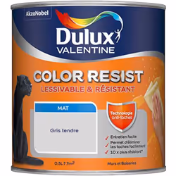 LIVRAISON OFFERTE DES 39€ D’ACHAT ET RETOUR GRATUIT ! Dulux Valentine Murs & Boiseries : Color Resist Murs & Boiseries Mat, r ...