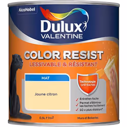 LIVRAISON OFFERTE DES 39€ D’ACHAT ET RETOUR GRATUIT ! Dulux Valentine Murs & Boiseries : Color Resist Murs & Boiseries Mat, r ...