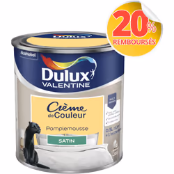 LIVRAISON OFFERTE DES 39€ D’ACHAT ET RETOUR GRATUIT ! Dulux Valentine Crème de couleur : La peinture Dulux Valentine Crème de ...