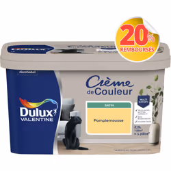 LIVRAISON OFFERTE DES 39€ D’ACHAT ET RETOUR GRATUIT ! Dulux Valentine Crème de couleur : La peinture Dulux Valentine Crème de ...