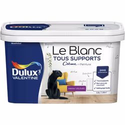 LIVRAISON OFFERTE DES 39€ D’ACHAT ET RETOUR GRATUIT ! Dulux Valentine Le Blanc Tous Supports Crème de Peinture - Velours : Ap ...