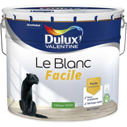 Dulux Valentine - Peinture Le Blanc Facile Satin Blanc 10 l