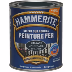 LIVRAISON OFFERTE DES 39€ D’ACHAT ET RETOUR GRATUIT ! Hammerite Peinture antirouille Laque Brillante : Grâce à notre technolo ...