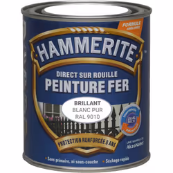 LIVRAISON OFFERTE DES 39€ D’ACHAT ET RETOUR GRATUIT ! Hammerite Peinture antirouille Laque Brillante : Grâce à notre technolo ...
