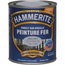 LIVRAISON OFFERTE DES 39€ D’ACHAT ET RETOUR GRATUIT ! Hammerite Peinture antirouille Laque Brillante : Grâce à notre technolo ...
