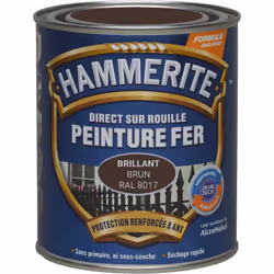 LIVRAISON OFFERTE DES 39€ D’ACHAT ET RETOUR GRATUIT ! Hammerite Peinture antirouille Laque Brillante : Grâce à notre technolo ...