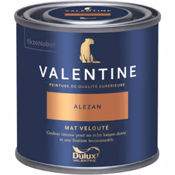 LIVRAISON OFFERTE DES 39€ D’ACHAT ET RETOUR GRATUIT ! La Valentine DULUX VALENTINE - Peinture intérieure de qualité supérieur ...