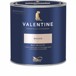 LIVRAISON OFFERTE DES 39€ D’ACHAT ET RETOUR GRATUIT ! La Valentine DULUX VALENTINE - Peinture intérieure de qualité supérieur ...